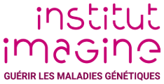 Institut Imagine